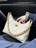 Bolsos de Lujo de Nicho para Mujer 2026 Modelo Nuevo Bolso Acolchado con Cadena de Moda Versátil Elegante Bolso de Hombro Cruzado de Gama Alta