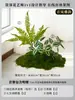 Musgo para Paisajismo de Plantas Verdes Plantas Artificiales Decoración Flores Artificiales Combinación Tropical para Interiores Paisaje de Ventana Persa Arreglo de Césped