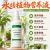 Solución Nutritiva General para Plantas Hidropónicas para Narciso, Clorofito, Árbol del Dinero, Nenúfar, Loto de Cuenco, Bambú de la Suerte Fertilizante Especial