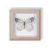 Especimen de Mariposa Real Pintura Decorativa Colgante Adorno de Insecto con Ojos Azules, Marco de Madera Maciza, Regalo para Mejor Amigo, Recuerdo Único