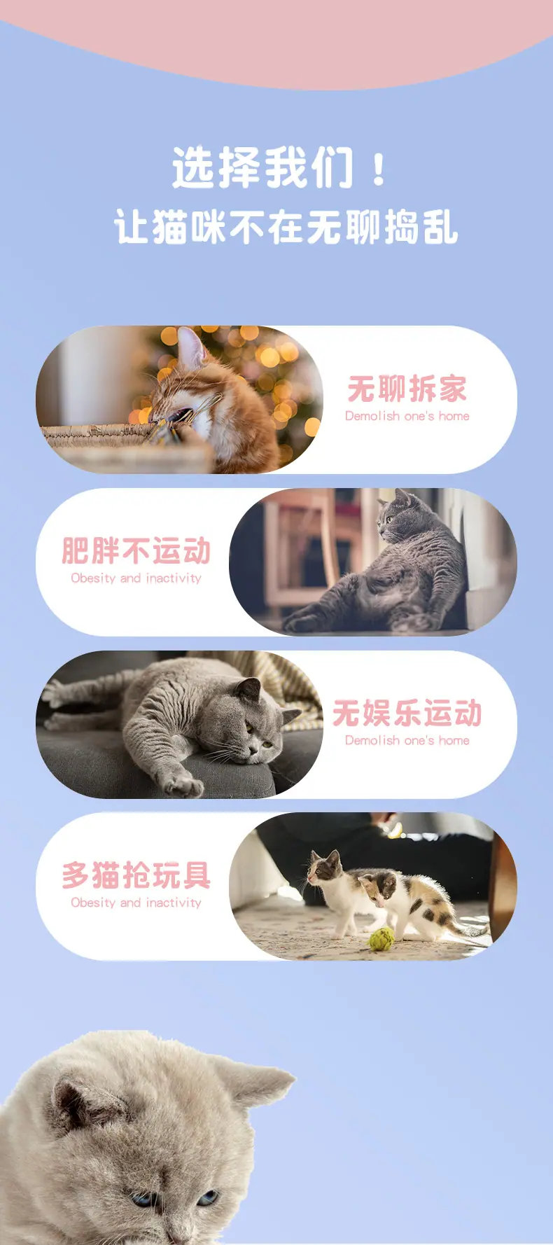 逗猫棒790_02.jpg