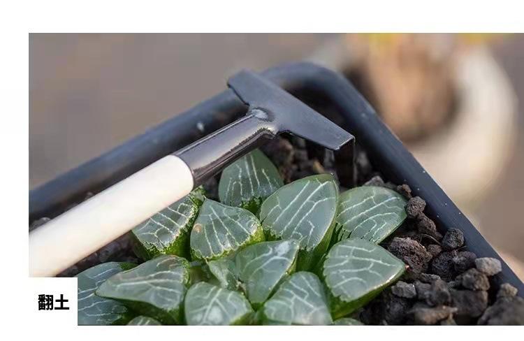 微信图片_2022031910193619