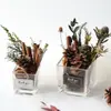 Flores secas canela limão pinha mix e match flores secas artesanais pequeno buquê fresco aromaterapia pacote de material DIY lembrança presente