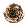 Flores Eternas 9-10cm Rosas Gigantes Personalizables Venta al por Mayor Productos Terminados DIY Cabezas de Flores Grandes Venta al por Mayor de Fábrica