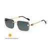 2026 Nuevas Gafas de Sol Fotocromáticas sin Montura Cuadradas de Moda Europeas y Americanas para Hombre con Borde Cortado en Diamante y Diseño de Cabeza de Leopardo