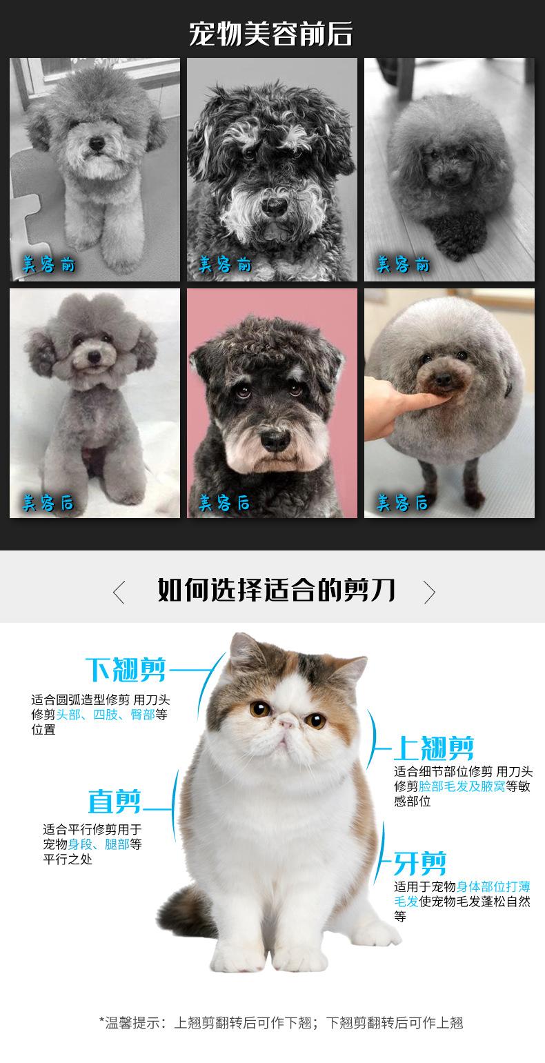 双尾彩色四件套_r2_c1