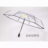 Guarda-chuva Automático Margarida Pequena Guarda-chuva Transparente Guarda-chuva Casual de PVC Estilo Japonês Deusa Guarda-chuva Dobrável para Estudante Pode Adicionar Logo