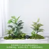 Simulación Planta Verde Paisajismo Planta Paisaje Combinación Adornos Exterior Maceta Alta Gama Lujo Ligero Flor Artificial Interior Piso Maceta