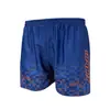 Nuevos Shorts de Playa de Secado Rápido para Hombre, Corte Holgado, Tallas Grandes, Modernos Shorts Deportivos Casuales para Nadar
