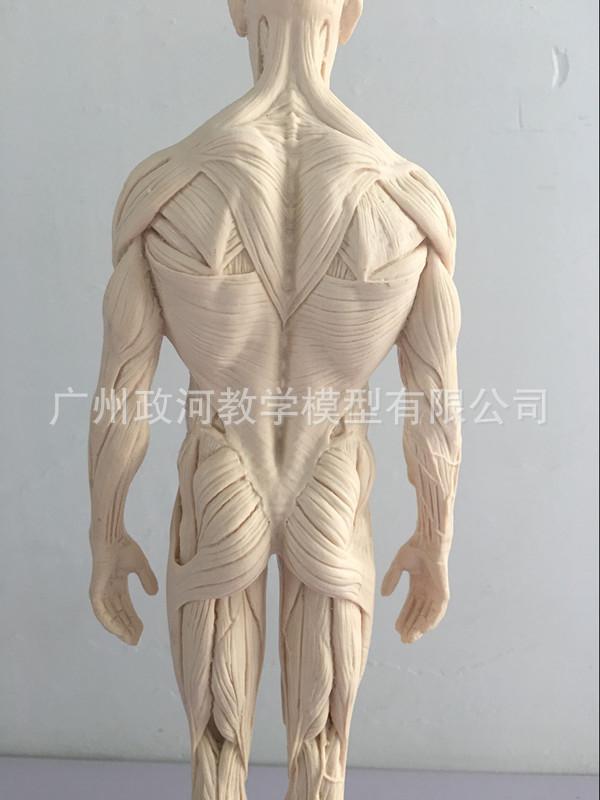 QQ图片20180825155222