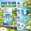 KineShineX Pastilhas Purificadoras de Água para Tanque de Lírio d'Água 100 Pastilhas Tanque de Peixes Pequeno Vaso de Lótus Pastilhas Purificadoras e Desodorizantes para Qualidade da Água