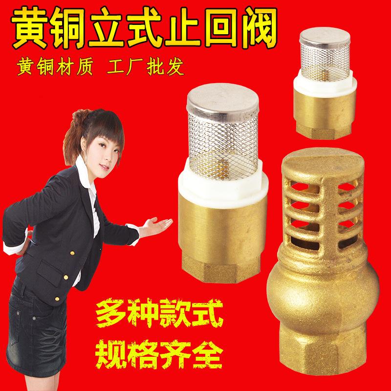 立式止回阀主图