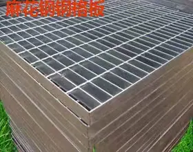 微信图片_20260601092651_96_243.jpg