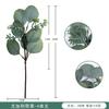 Eucalipto Artificial com Galhos Curtos, Folhas de Dinheiro e Frutas para Decoração de Plantas Artificiais DIY - Amazon Transfronteiriço