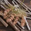 Hinata Estrella de Nieve Flor de Estrella Flor Artificial Fabricante Flor Falsa Venta al por Mayor Decoración de Bodas Manualidades Estilo Ins Plantas Verdes Transfronterizas