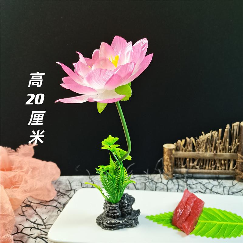 QQ图片20210817123133