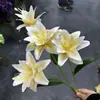 Arreglo Floral Artificial de Lirio de Doble Pétalo 3D Narciso Lirio Arreglo Floral de Piso para Bodas Fotografía de Bodas Fábrica de Flores Artificiales de Comercio Exterior