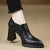 Sapatos Elegantes com Elástico para Mulheres, Novo Modelo 2026, Plataforma Impermeável, Versáteis Sapatos Pretos de Corte Profundo Resistentes ao Desgaste de Salto Alto para Mulheres