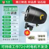 Peças de Motor de Ventilador Elétrico Industrial Cabeça de Motor de Cobre Puro Ventilador de Parede Ventilador de Chão Alta Potência Cabeça de Motor de Ventilador Forte Chifre de Touro