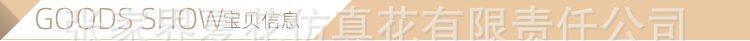 欧月花头_02.jpg