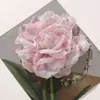 Estilo Garota Popular Milenar Borda Borrada Rede Camélia Clipe DIY Corda de Cabelo Adorno de Cabeça Corsage Colar Acessórios de Flor