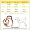 Guia de Cachorro para Cães Pequenos, Teddy, Bichon, Spitz Alemão, Coleira Peitoral, Guia para Passeio de Filhote, Corrente para Cachorro