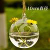 Adornos colgantes creativos de bolas de cristal, botella de musgo, micropaisaje, contenedor, decoración hidropónica simple, fabricantes de artesanías