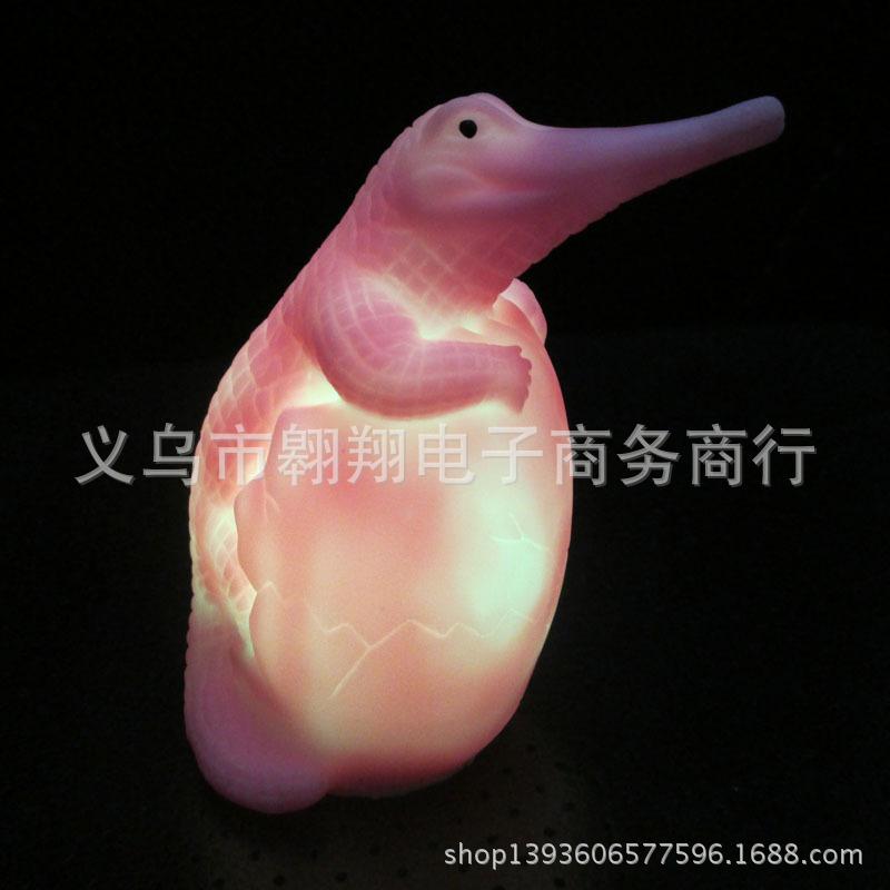 照片 257