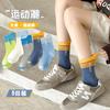 Calcetines de Niño Otoño Nuevos Calcetines de Algodón Calcetines de Media Caña Calcetines Deportivos con Letras sin Costuras para Niños Clase a Transpirables Calcetines de Moda Venta al por Mayor