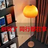 Luminária de chão cogumelo, luminária de cabeceira para quarto, estilo vintage Bauhaus ins, luminária de chão de vidro retrô para sala de estar de meninas, popular online