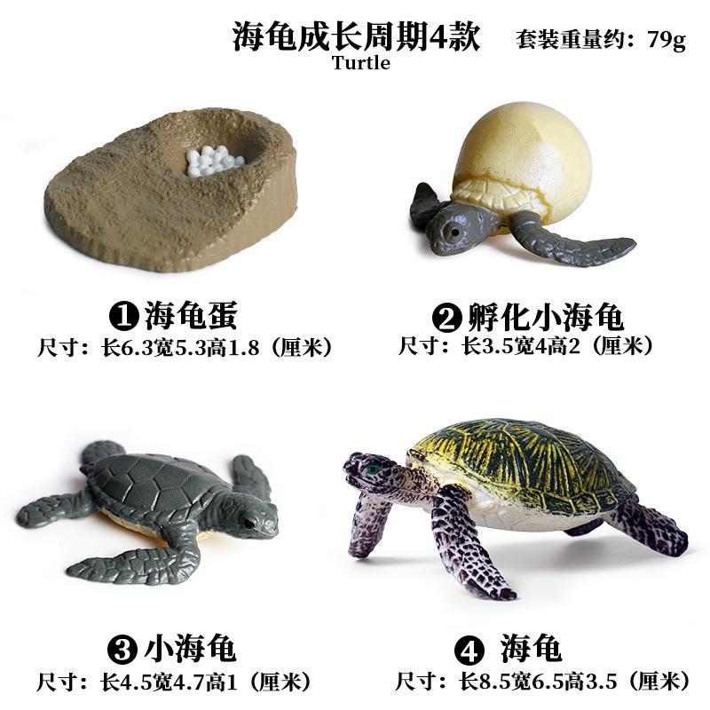 730海龟