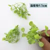 Nuevo Arte de Color Escarcha con Hojas Verdes Mate Imitación Hierba Caja de Regalo Ramo Caja de Flores Decorativa Regalo Acompañante Joyería