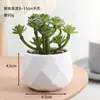 Venta al por mayor de plantas suculentas artificiales, lote mixto de plantas suculentas en maceta diamante, ventas directas de fábrica, decoraciones de plantas verdes para oficina