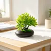 Suministro Directo Transfronterizo Mini Plantas Verdes Flores Falsas Plantas en Maceta Simulación Piedras Decorativas Maceta Plana Adornos Fotografía Foto Mini Bonsái Accesorios