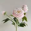Flores de Simulación 2 Cabezas Peonía Rosa Tallo Largo Sensación de Alta Gama Hogar Flor Artificial Decoración Ramo Decoraciones Suaves Arreglo Floral de Boda