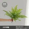 Simulación de Diseño de Sistema Zen Forest Helecho Planta de Hoja Persa Planta de Interior Simulación Decoración de Pared de Planta Espárrago de Simulación