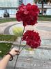 Hortensia verde de simulación de 2 cabezas Fabricantes Hortensia Xiyan de 2 cabezas blanca boda guía de camino decoración suave flor artificial al por mayor