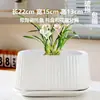 Maceta de Cerámica de Alta Apariencia con Plato, Maceta Minimalista Blanca Estilo Nórdico Ins para Suculentas, Maceta Versátil de Moda para el Hogar