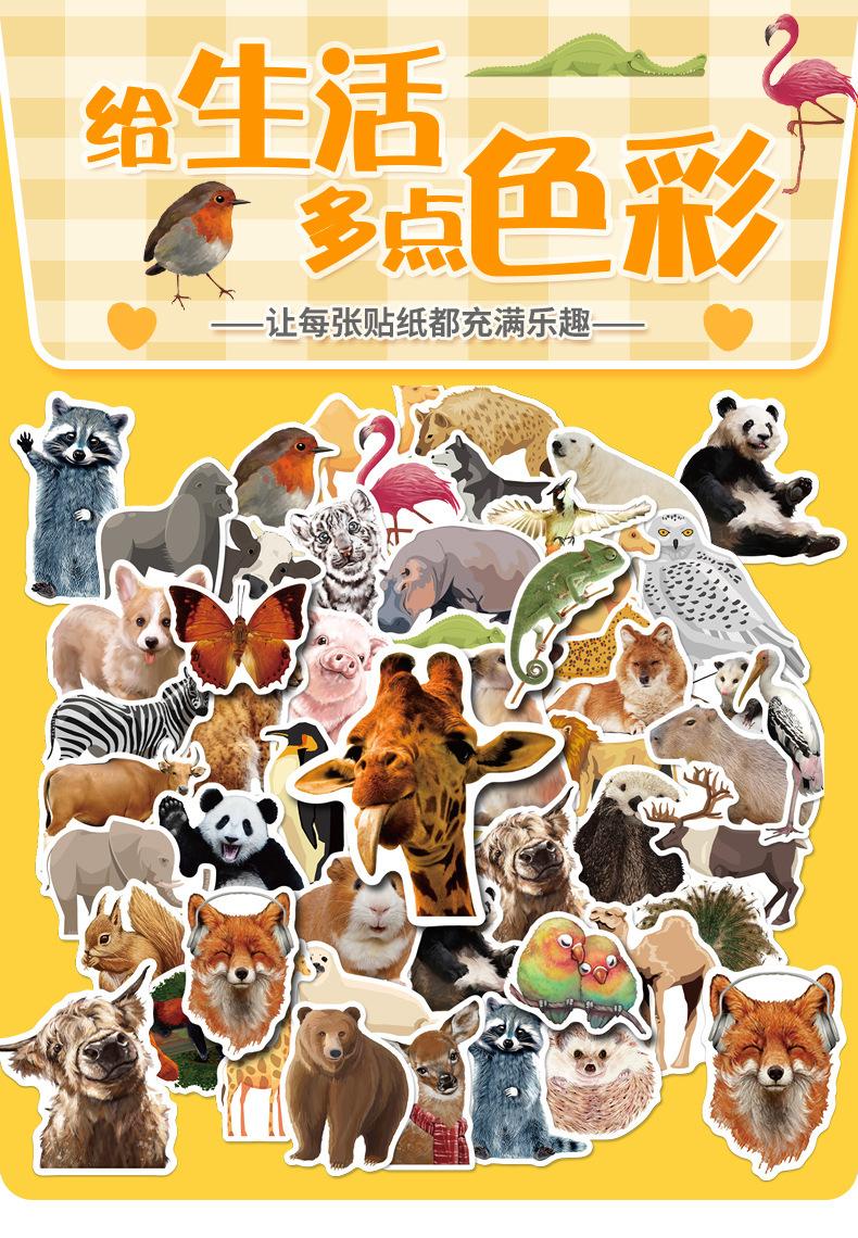详情页_01.jpg