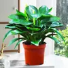 Platina Diamante Vasado Cesta de Rabanete Verde Planta de Flor para Interior Flor Hidropônica Planta Verde Suculenta Fácil de Cultivar Árvore da Fortuna Flor de Alto Valor