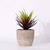 Planta Verde Artificial Pote Plástico Planta Falsa Estilo Nórdico Americano Casa Sala de Estar Estilo Ins Novos Ornamentos Decorativos Criativos