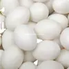 Huevos de Paloma de Regalo, Frescos de Calidad Premium, Envío Gratis, Granos Enteros, La Elección Preferida del Bebé, Productos de Granja de Corral
