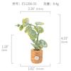 Amazon Planta Artificial Suculenta Imán de Corcho Imán de Refrigerador Decoración del Hogar Estilo Pastoral Suculenta Creativa Atracción Magnética