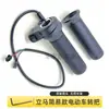 Scooter Eléctrico Modelo Simple Inmediato Motocicleta Eléctrica Acelerador Giratorio Bicicleta Eléctrica Acelerador Enchufe Interno SM Engranaje P Estacionamiento