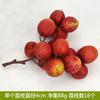 Seleção rigorosa de atacado coleção de frutas natureza morta pose props espuma maçã falsa laranja banana simulação modelo de fruta