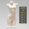 Loja de Lingerie Modelo Roupas Femininas Adereços Loja de Roupas Sutiã Push-Up Meio Comprimento Roupas Íntimas Femininas Modelo Suporte de Exibição de Corpo Humano Falso Meio Comprimento