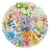 50 Pacotes Pequenos Adesivos Transparentes Frescos para Buquês Decoração Diária de Lazer para Fotos Câmera Bagagem