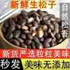 Piñones Frescos de Yunnan, Sabor Original, Granos Grandes, Snacks, Frutos Secos, Sabor Original, Nuevas Semillas de Pino, No de Noreste de China
