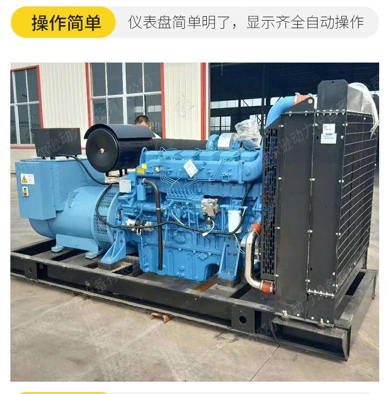 玉柴350千瓦发电机组_10.jpg