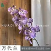 Flor Artificial Bandai Orchid de Alta Qualidade Decoração de Casamento Bandai Orchid Decoração Suave Arranjo Floral Corsage de Orquídea Phalaenopsis Buquê de Mão